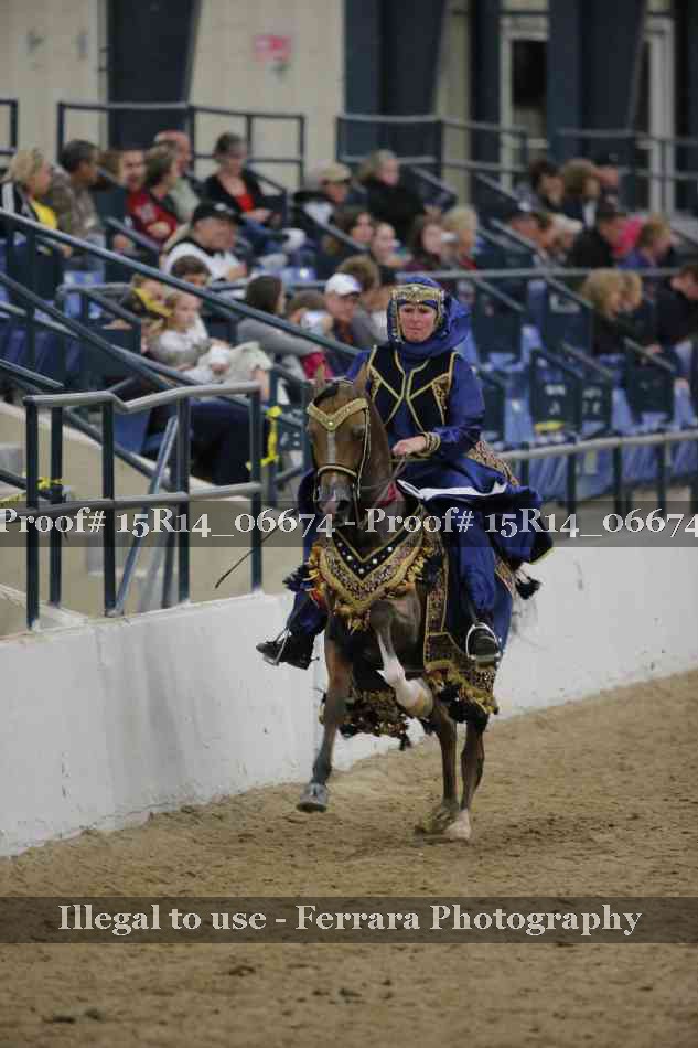 Proof Number 15R14_06674
