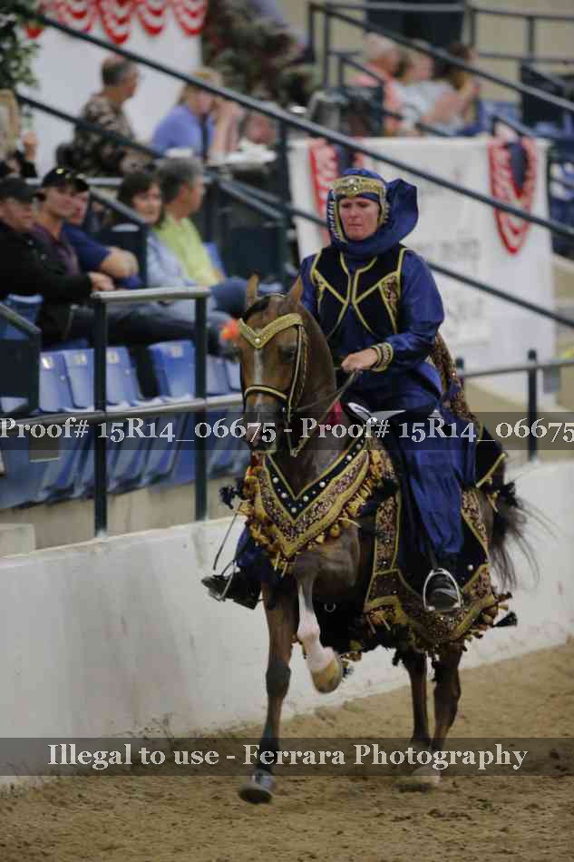 Proof Number 15R14_06675