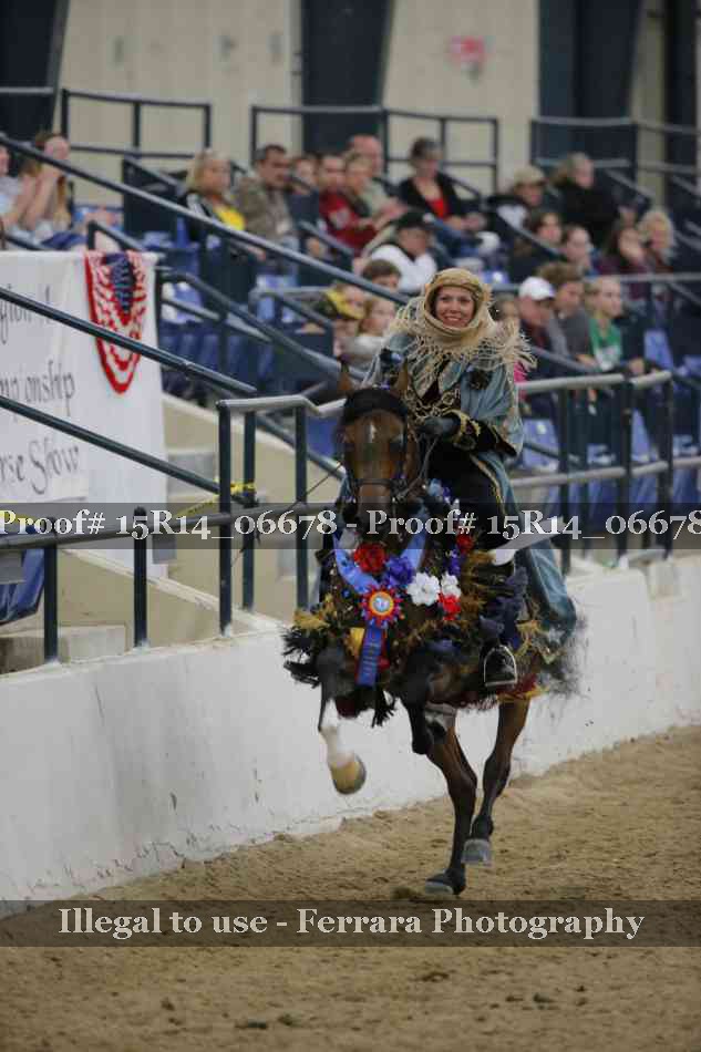 Proof Number 15R14_06678