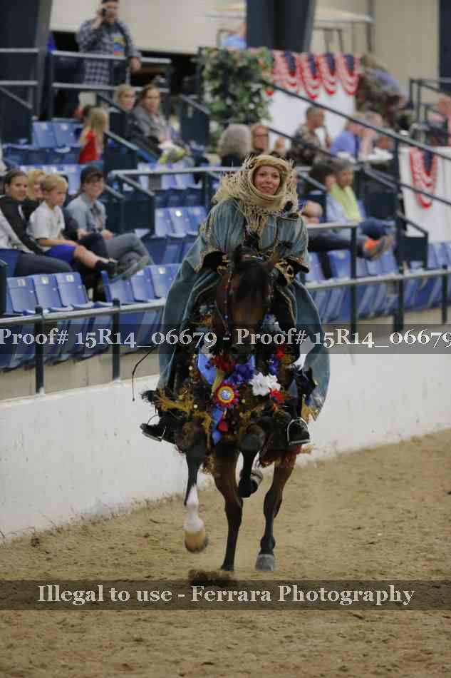 Proof Number 15R14_06679