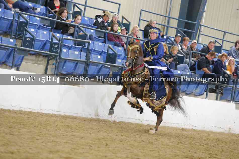 Proof Number 15R14_06680