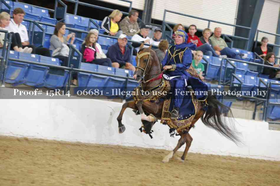 Proof Number 15R14_06681
