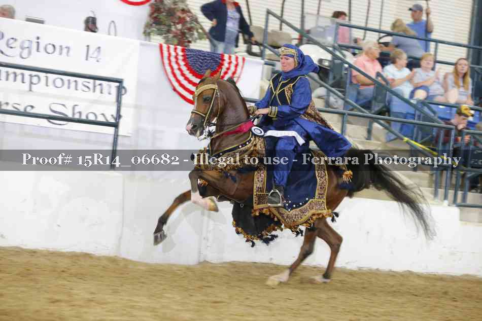 Proof Number 15R14_06682