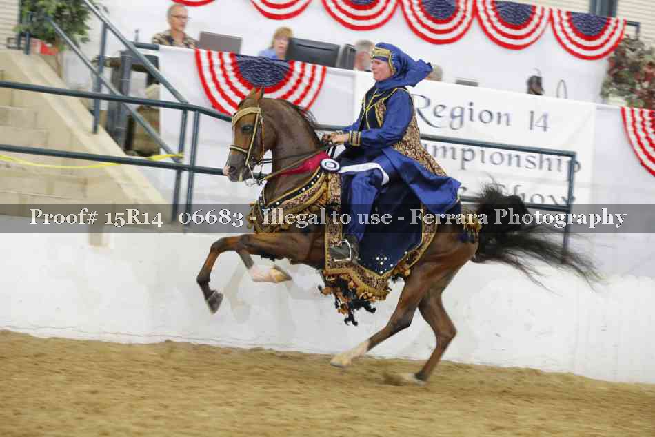 Proof Number 15R14_06683
