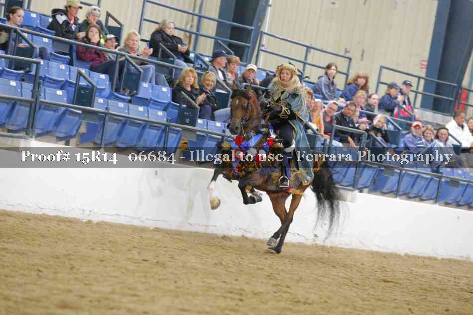 Proof Number 15R14_06684