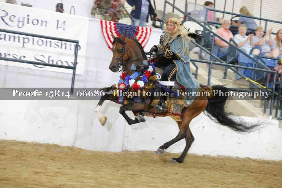 Proof Number 15R14_06686