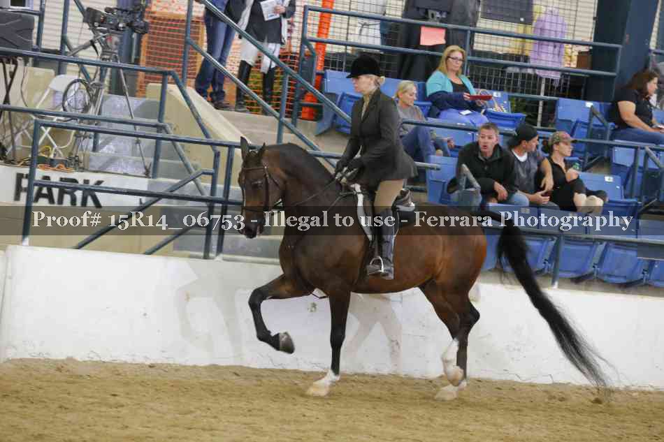 Proof Number 15R14_06753