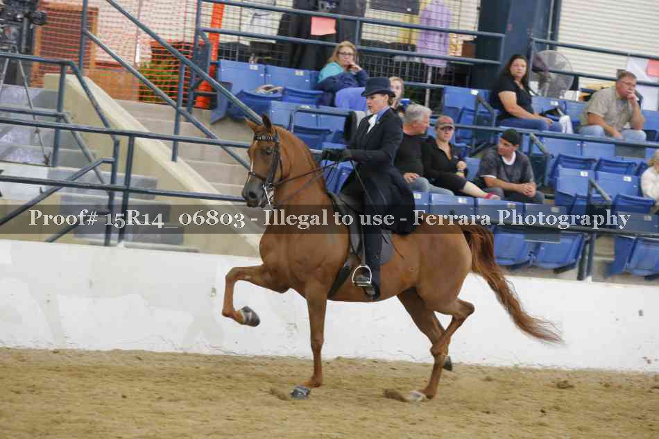Proof Number 15R14_06803