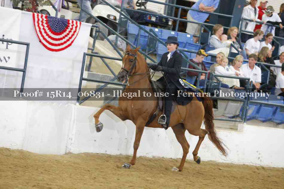 Proof Number 15R14_06831