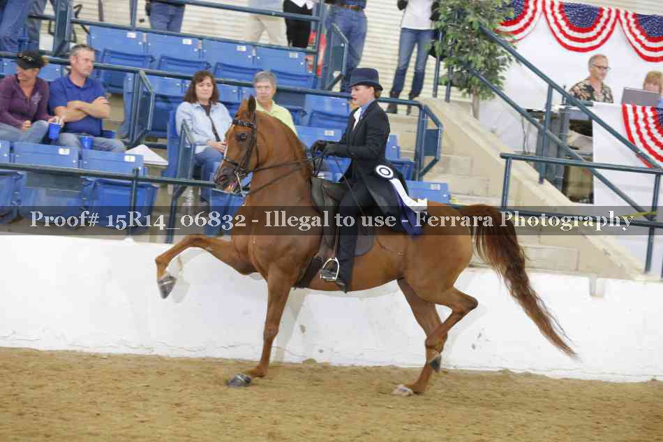 Proof Number 15R14_06832