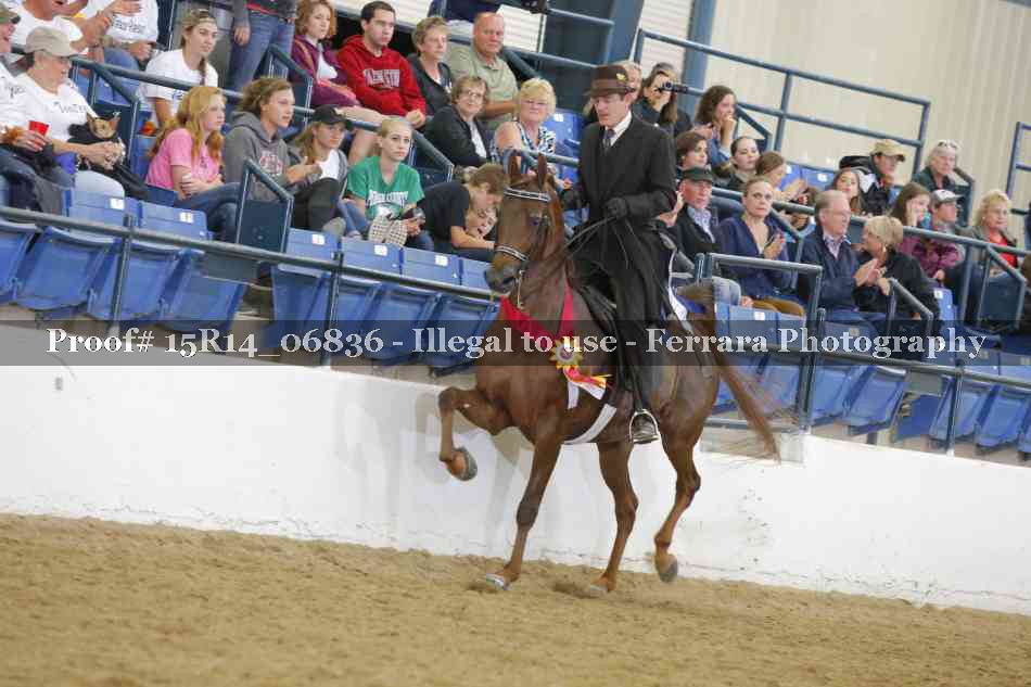 Proof Number 15R14_06836