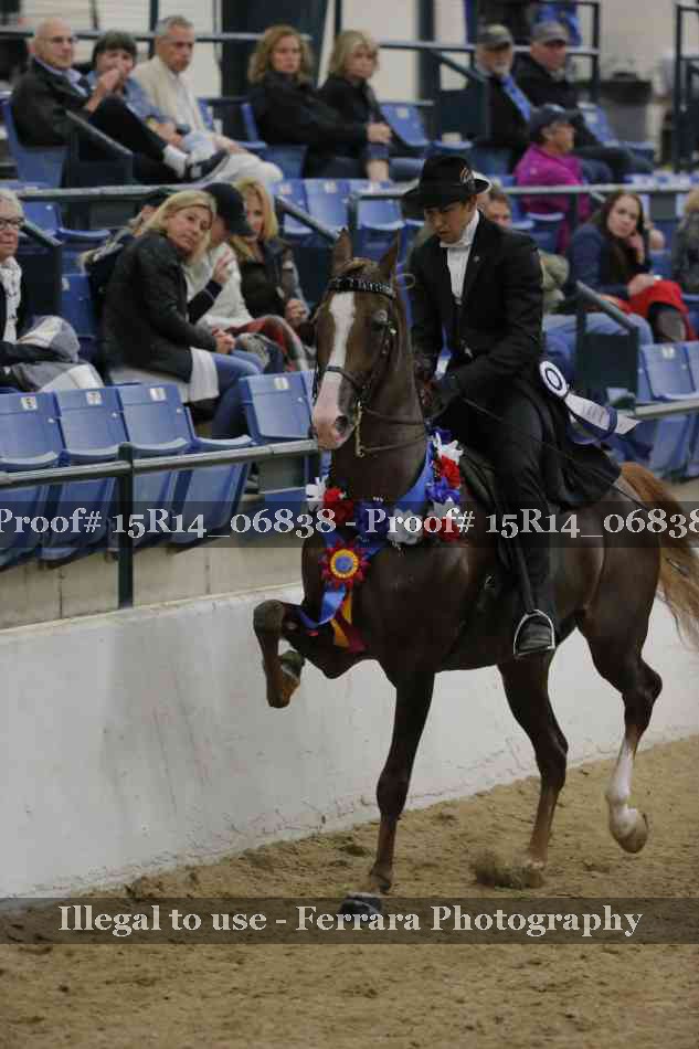 Proof Number 15R14_06838