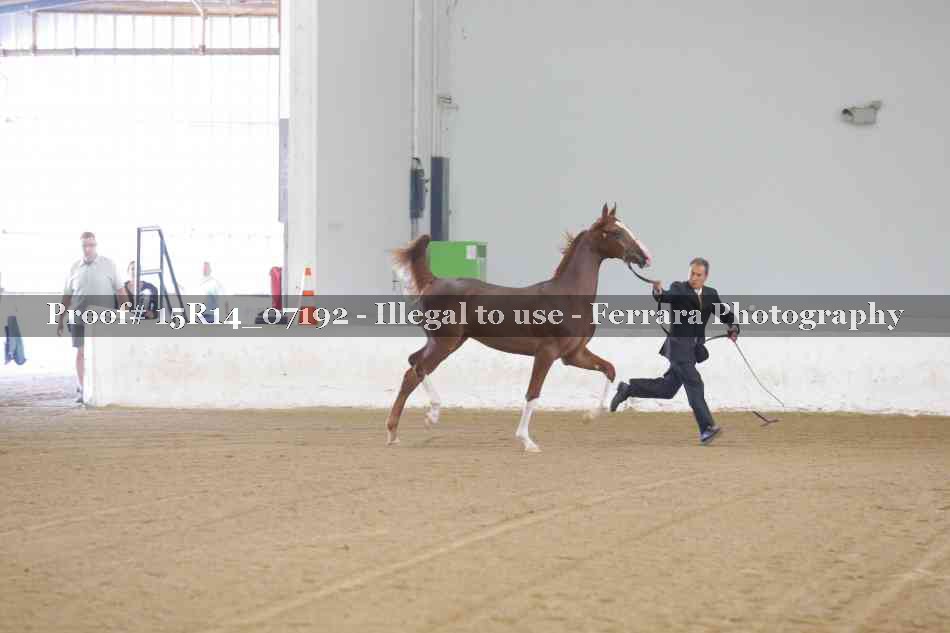 Proof Number 15R14_07192