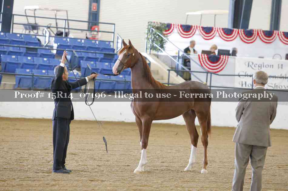Proof Number 15R14_07196