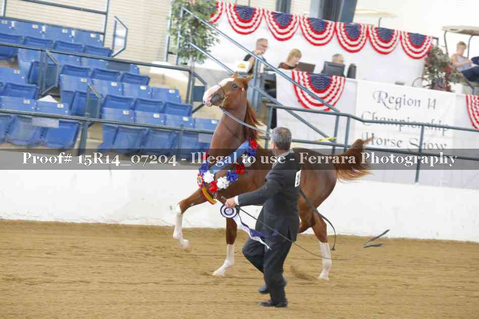 Proof Number 15R14_07204