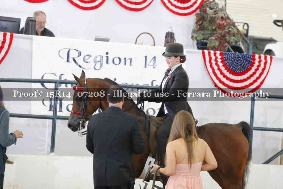 Proof Number 15R14_07208