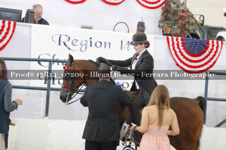 Proof Number 15R14_07209