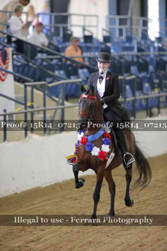 Proof Number 15R14_07213