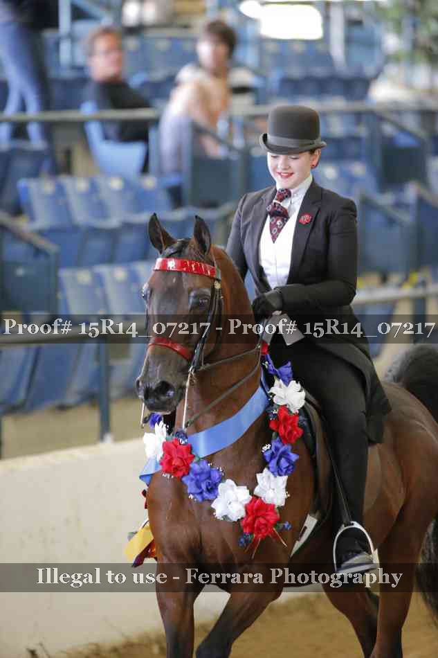 Proof Number 15R14_07217