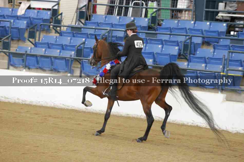 Proof Number 15R14_07218