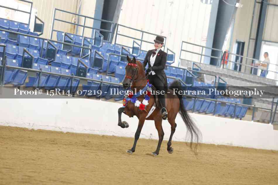Proof Number 15R14_07219