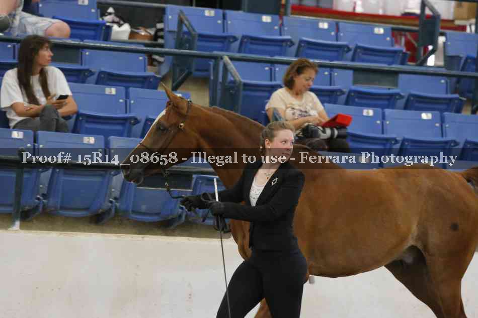 Proof Number 15R14_08658