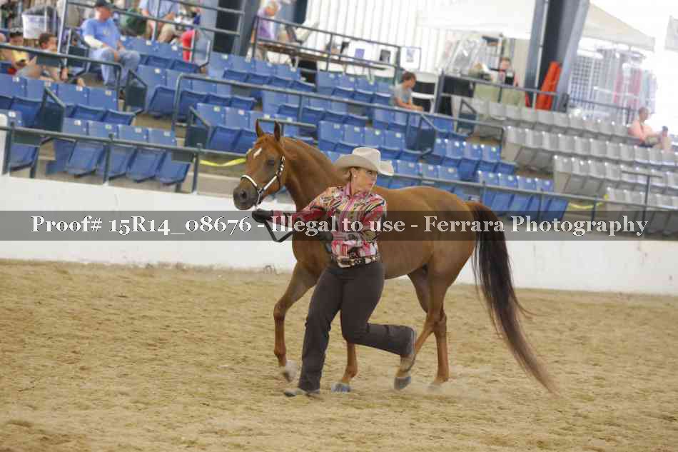Proof Number 15R14_08676