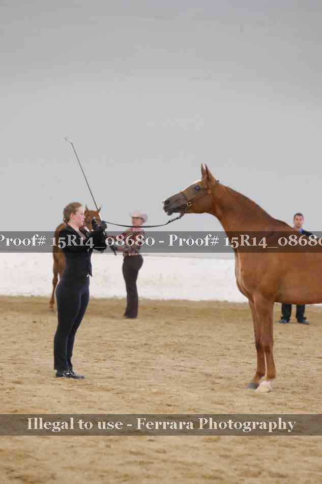 Proof Number 15R14_08680