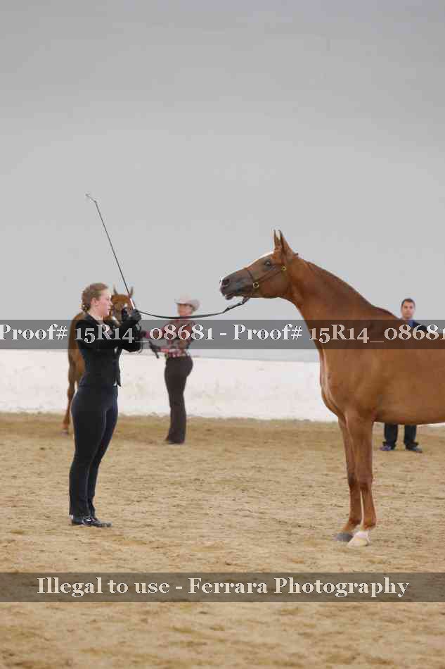 Proof Number 15R14_08681