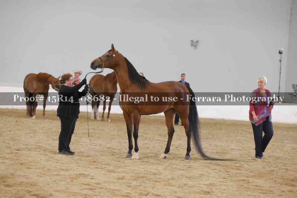 Proof Number 15R14_08682