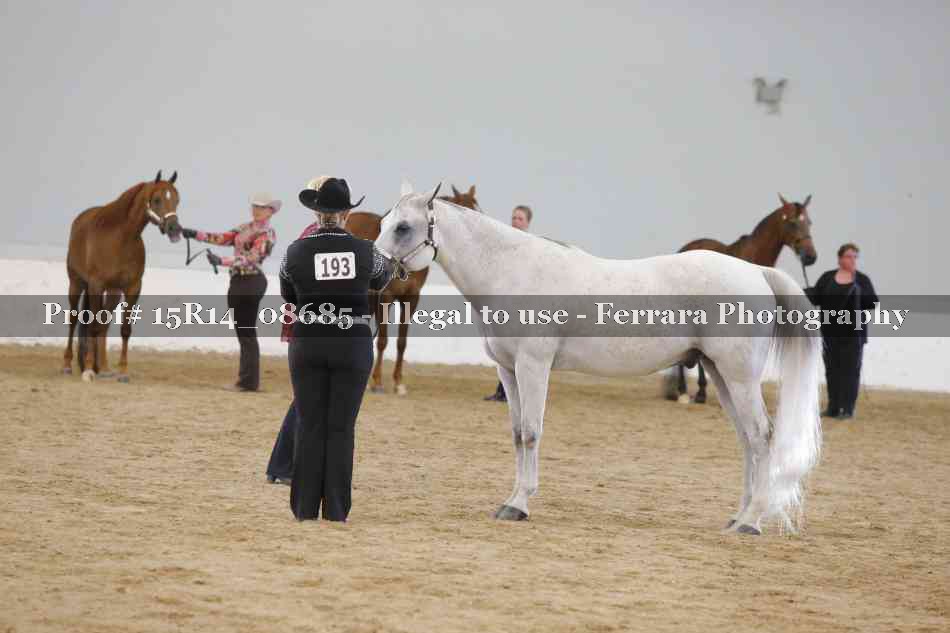 Proof Number 15R14_08685