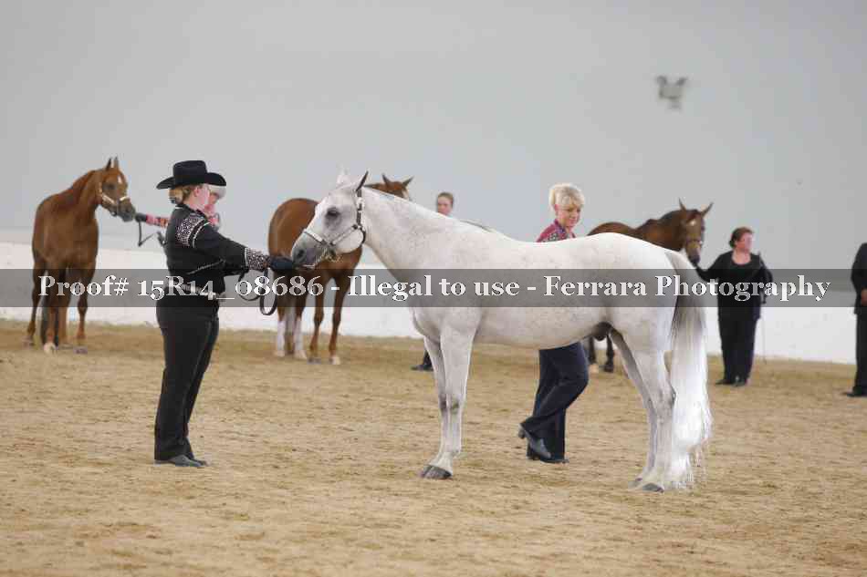Proof Number 15R14_08686