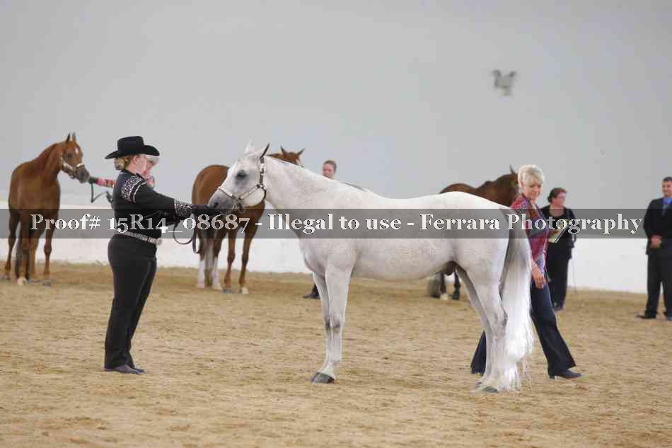 Proof Number 15R14_08687