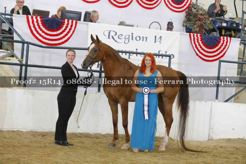 Proof Number 15R14_08688