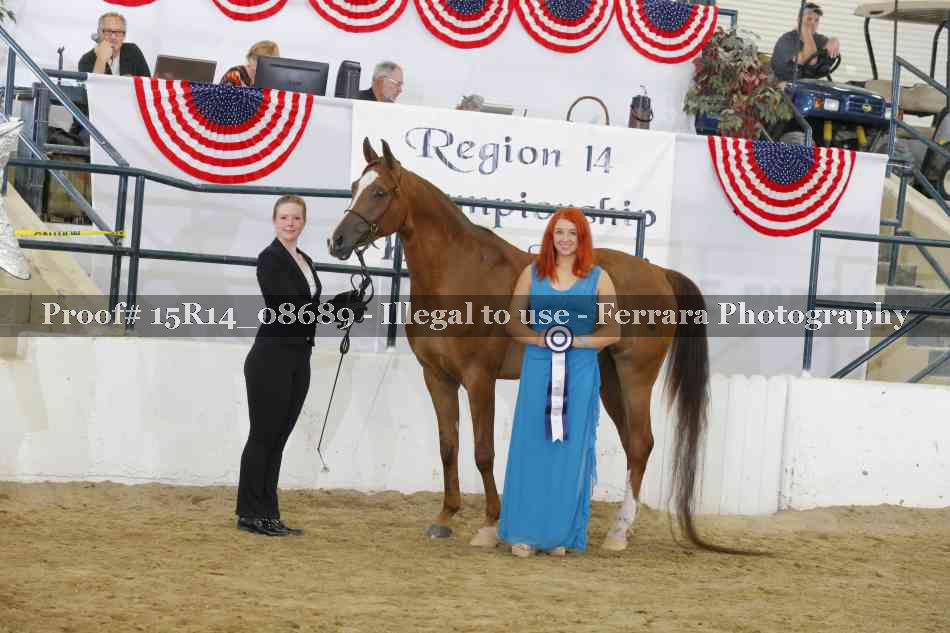 Proof Number 15R14_08689