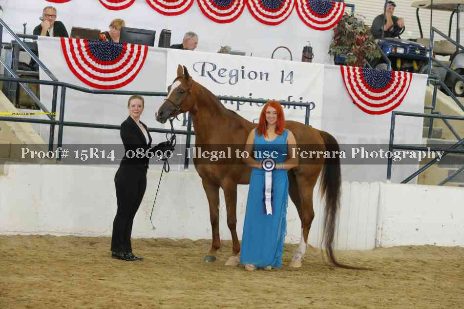 Proof Number 15R14_08690