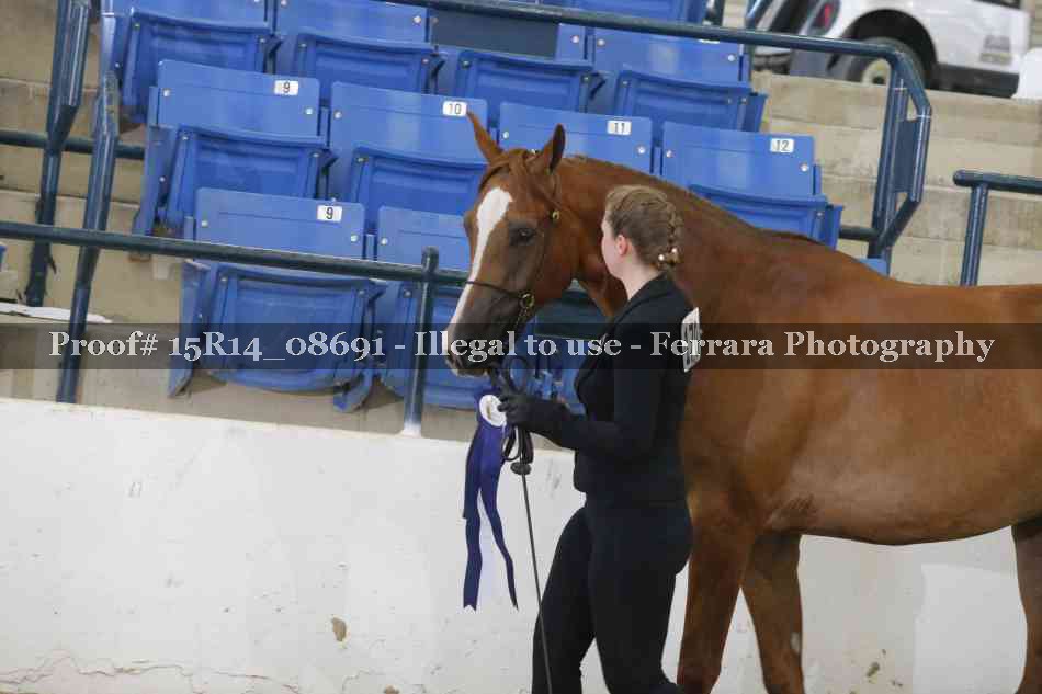 Proof Number 15R14_08691
