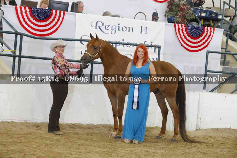 Proof Number 15R14_08695