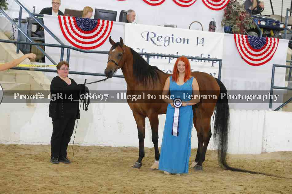 Proof Number 15R14_08697