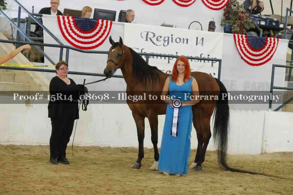 Proof Number 15R14_08698