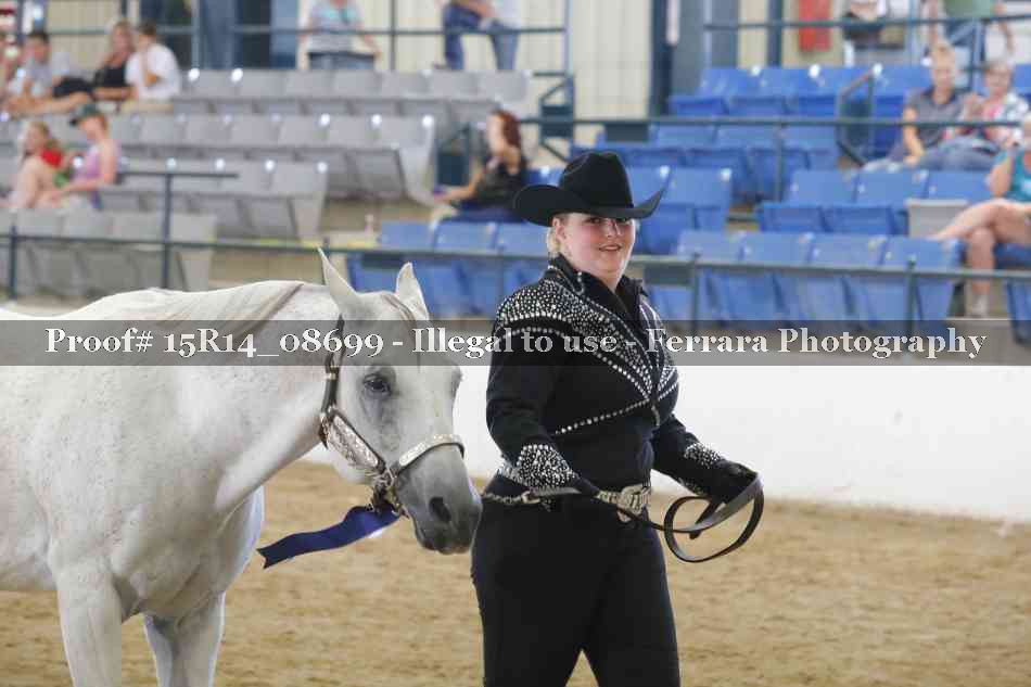 Proof Number 15R14_08699