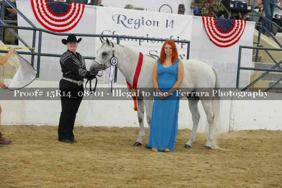 Proof Number 15R14_08701