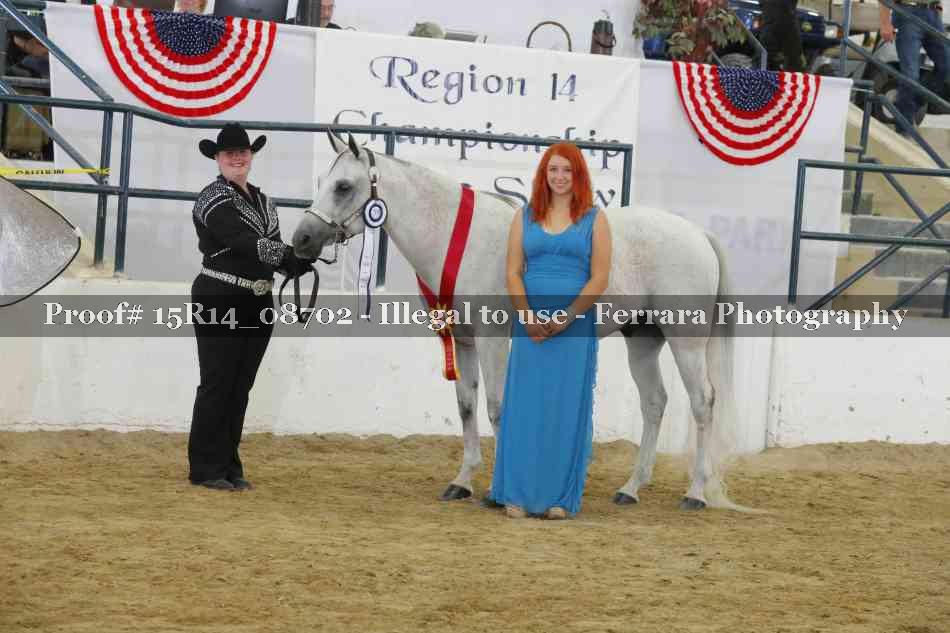 Proof Number 15R14_08702