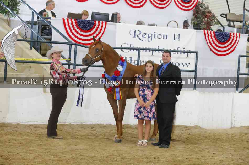 Proof Number 15R14_08703