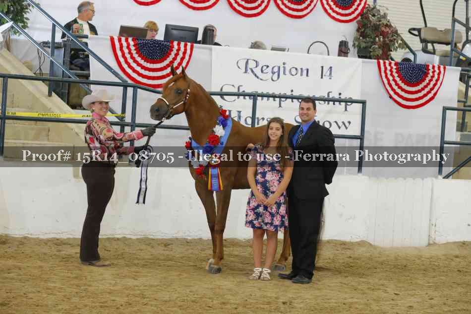 Proof Number 15R14_08705