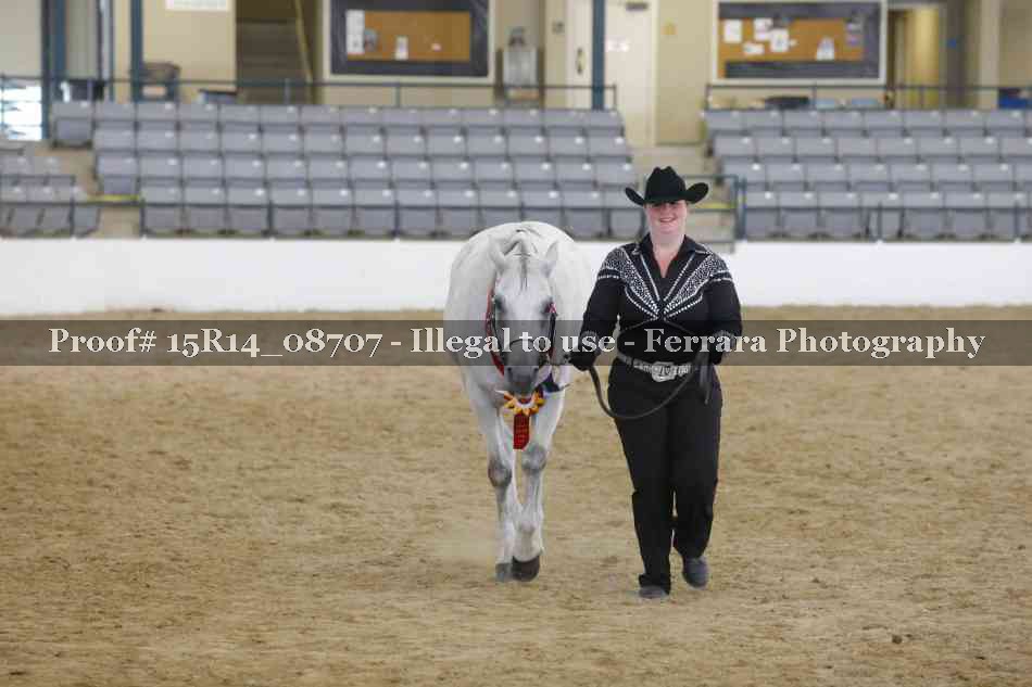 Proof Number 15R14_08707