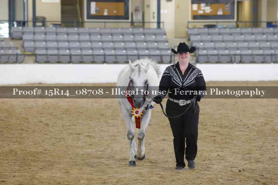 Proof Number 15R14_08708