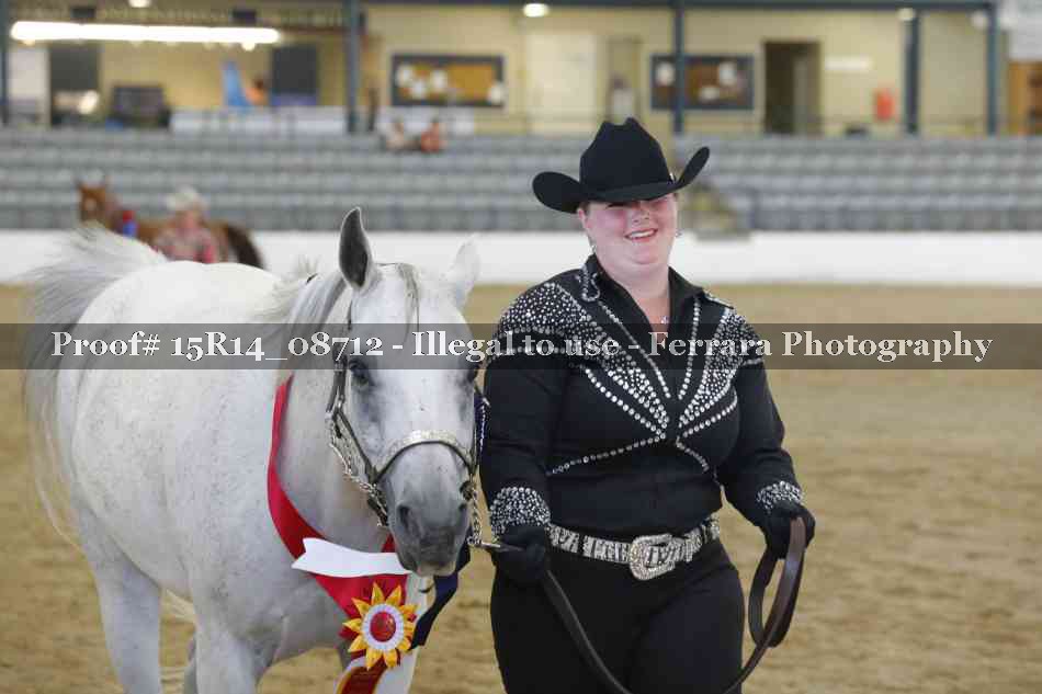 Proof Number 15R14_08712
