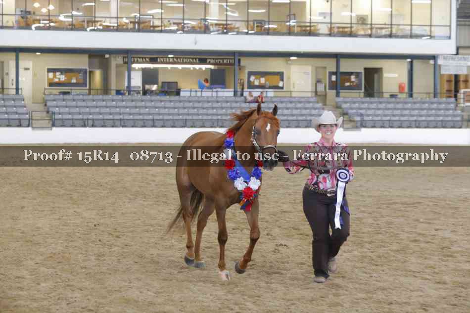 Proof Number 15R14_08713