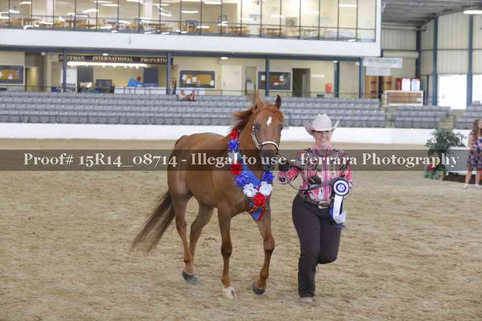 Proof Number 15R14_08714